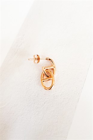 Tekli, Minimal Kilit Gümüş Rose Küpe