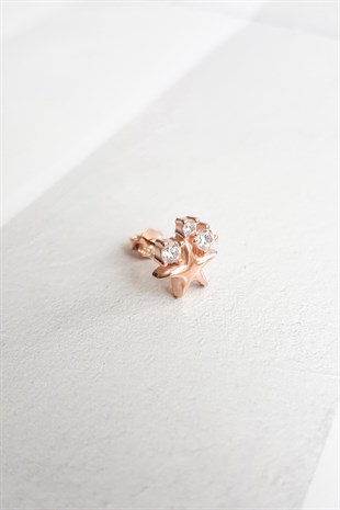 Tekli Minimal Taşlı Star Gümüş Küpe