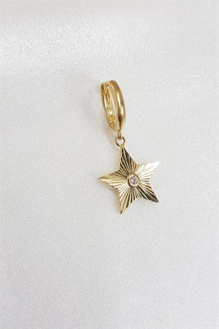 TEKLİ TEKTAŞ DETAYLI STAR GÜMÜŞ KÜPE
