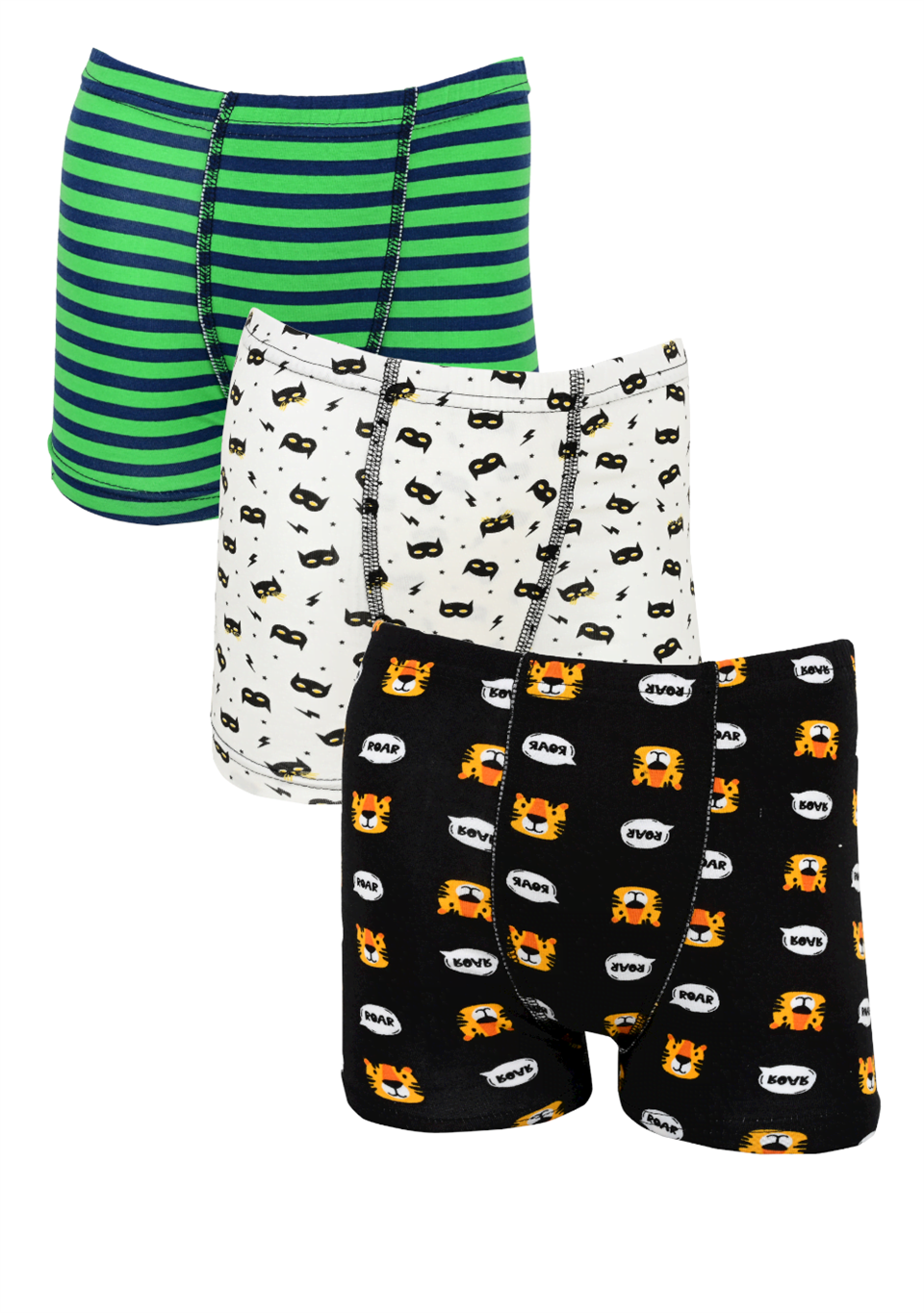 Erkek Çocuk Boxer Roar Aslan