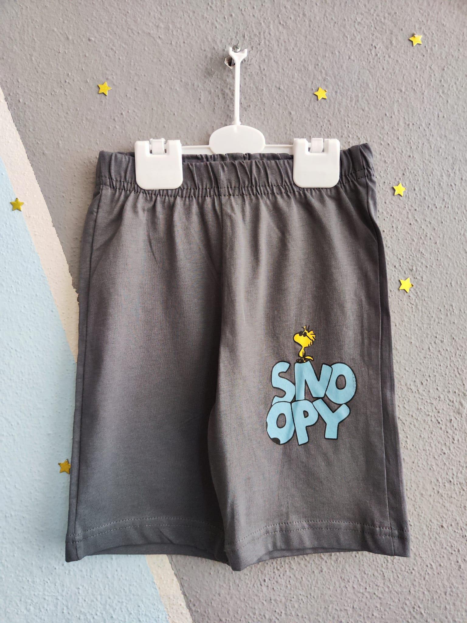 Snoopy Baskılı Marka Erkek Takım - Füme