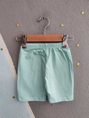 1975 - Arabalı Aslan Baskılı Erkek Bebek Takım -Yeşil