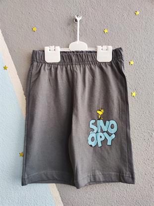 Snoopy Baskılı Marka Erkek Takım - Füme