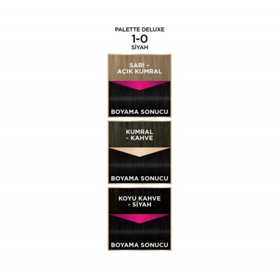 PALETTE DELUXE YAĞ BAKIMLI SAÇ BOYASI 1.0 SİYAH