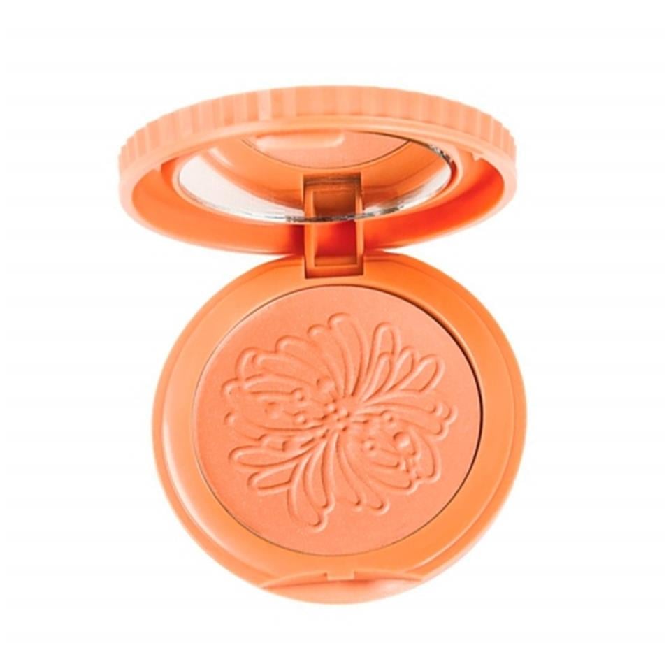 PASTEL SPRİNG BLUSH ON ALLIK NO. 15