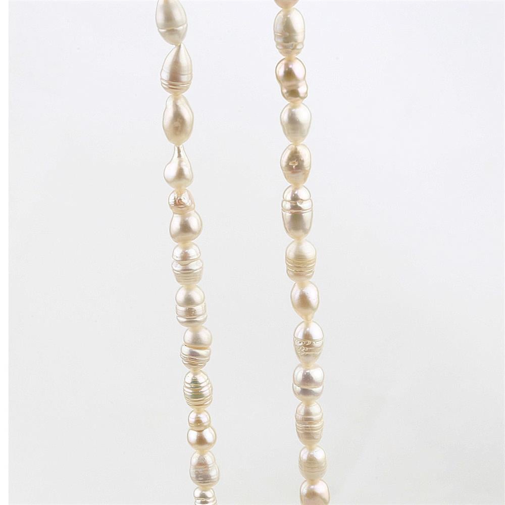 Çiftlik İncisi Arpa Boncuk