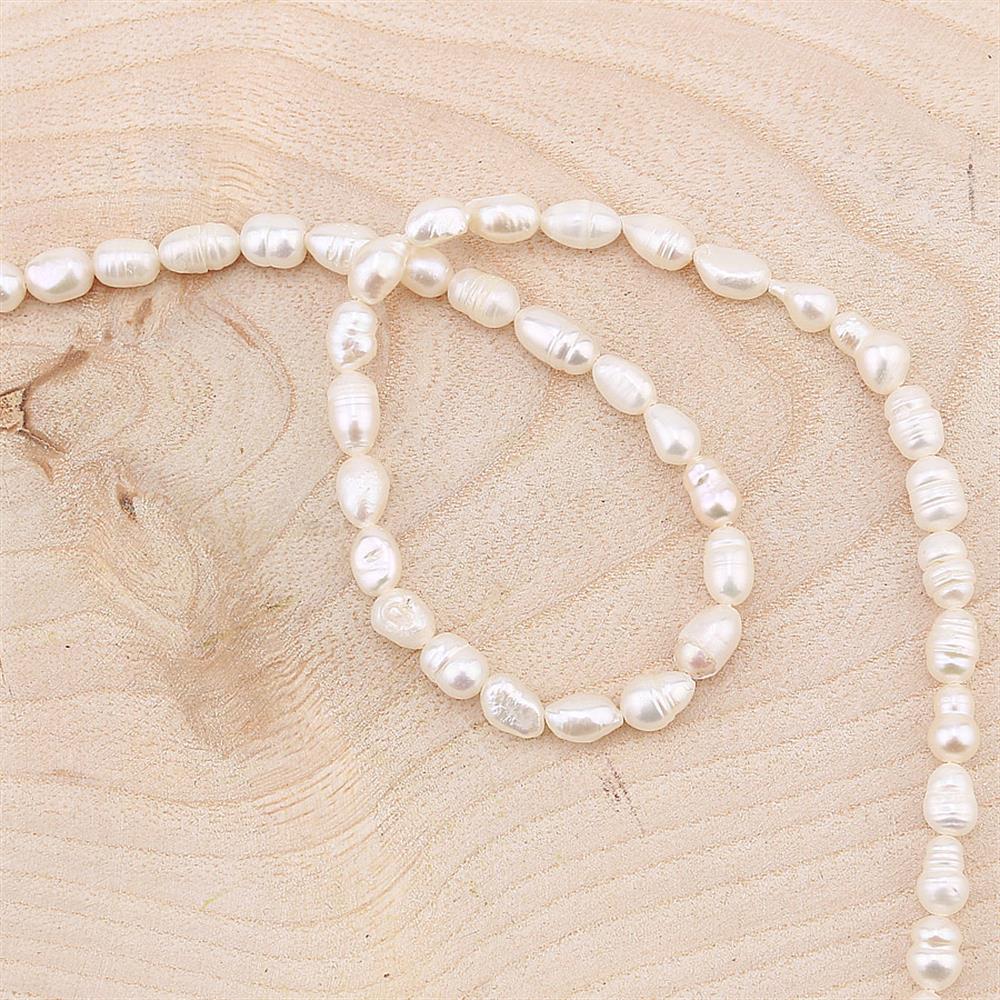 Çiftlik İncisi Arpa Boncuk