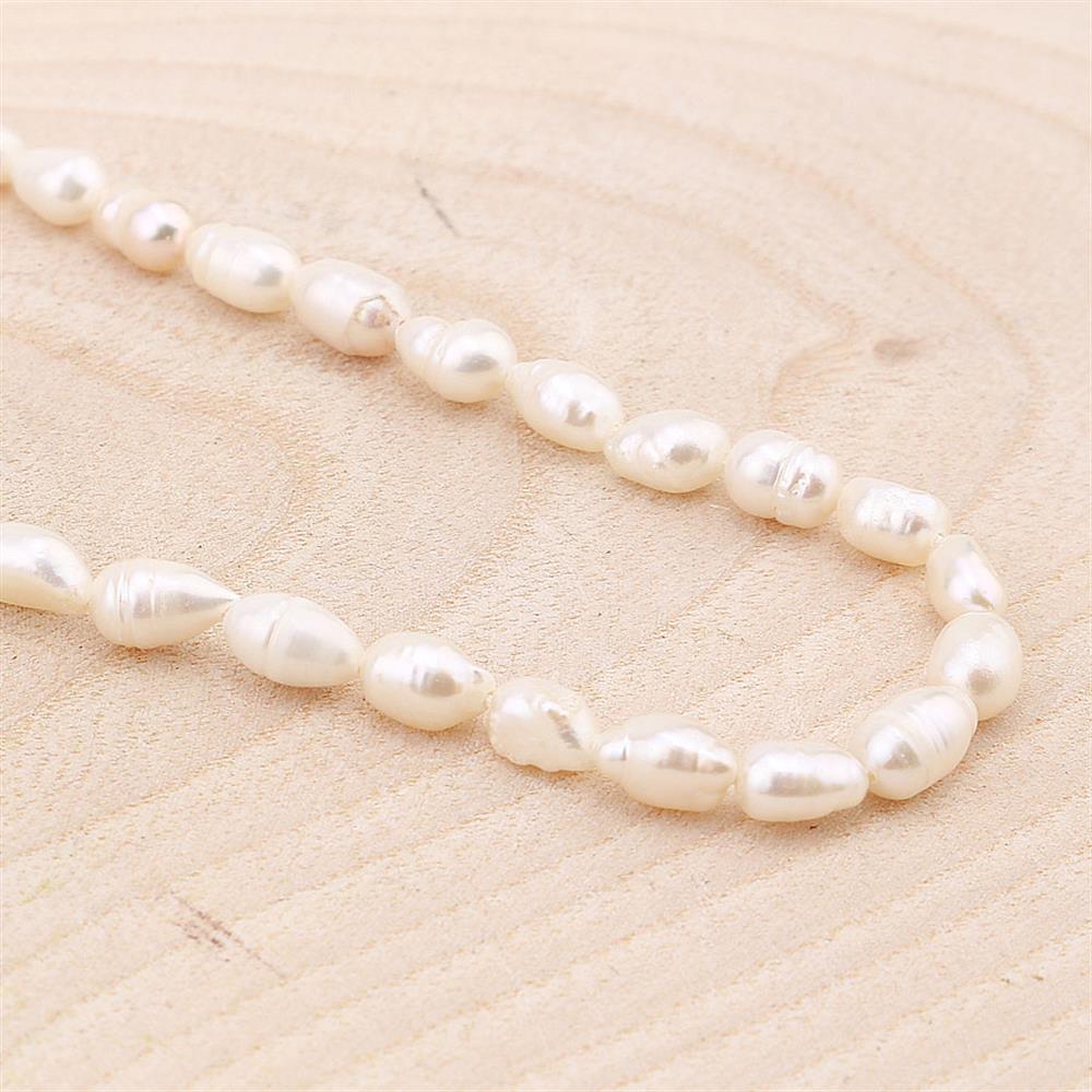 Çiftlik İncisi Arpa Boncuk