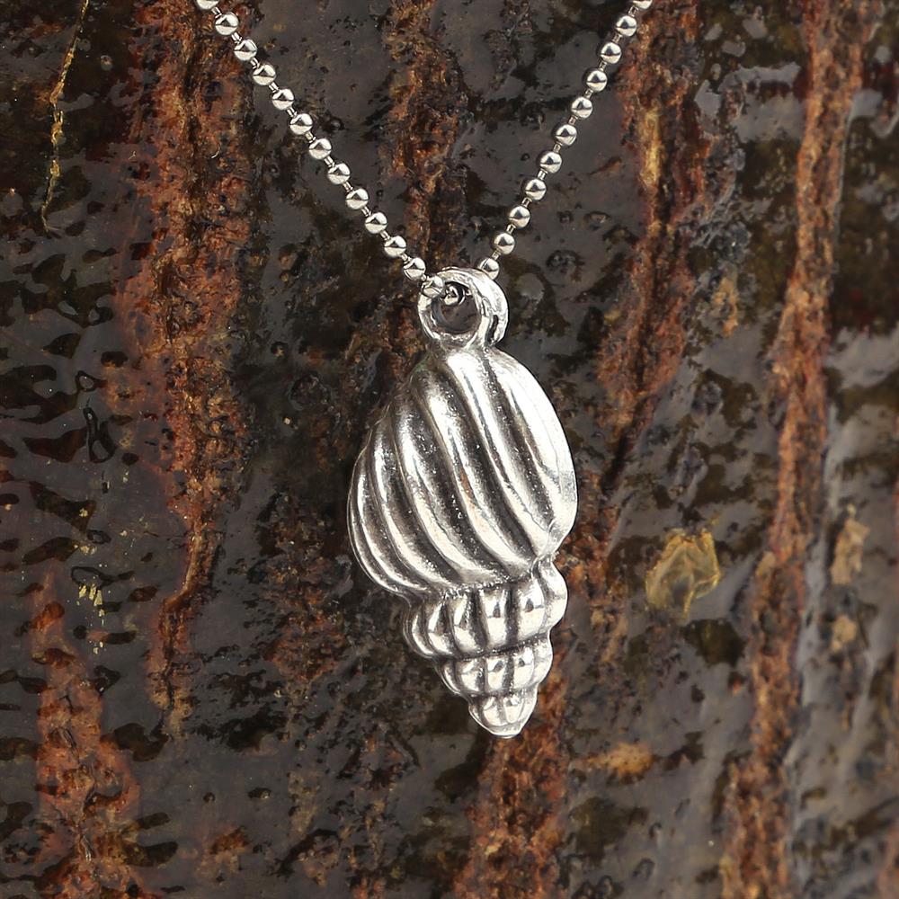 Deniz Salyangozu Takı Ucu