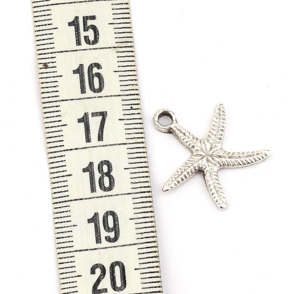 Deniz Yıldızı Takı Ucu