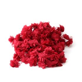 Bordo Lazer Gül 9 metre