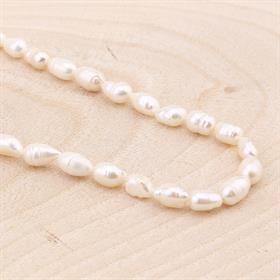 Çiftlik İncisi Arpa Boncuk