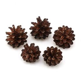 Dekoratif Doğal Kozalak 5 adet