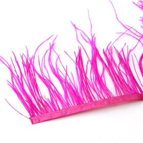 Fuşya Devekuşu Tüyü Şerit