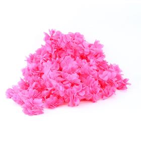 Fuşya Lazer Gül 9 metre