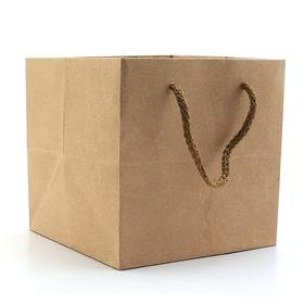 İp Askılı Kraft Çanta 15 X 15 X 15 cm