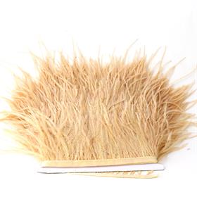 Kapuçino Devekuşu Tüyü Şerit