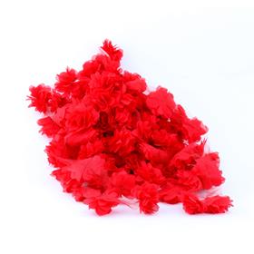 Kırmızı Lazer Gül 9 metre