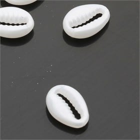 Plastik Deniz Kabuğu (50 adet)