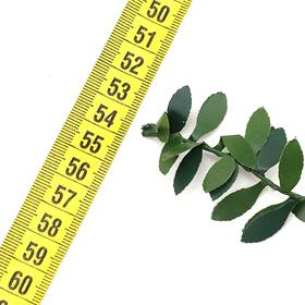 Plastik Yaprak Şerit 7 metre