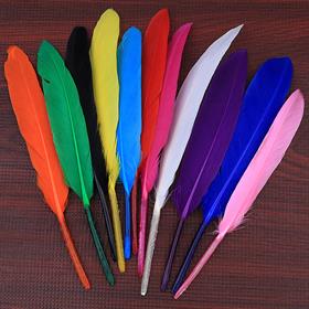 Renkli Kuş Tüyü (5 adet)