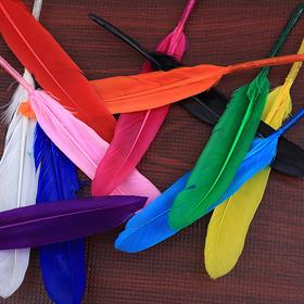 Renkli Kuş Tüyü (5 adet)
