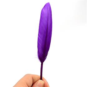 Renkli Kuş Tüyü (5 adet)