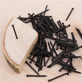 Top Başlı, Siyah Filografi Çivisi