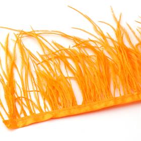 Turuncu Devekuşu Tüyü Şerit