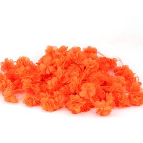 Turuncu Lazer Gül 9 metre