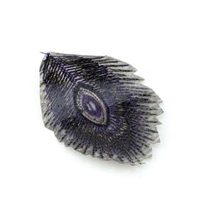 Ütüyle Yapışan Tavus Kuşu Tüyü Aplik