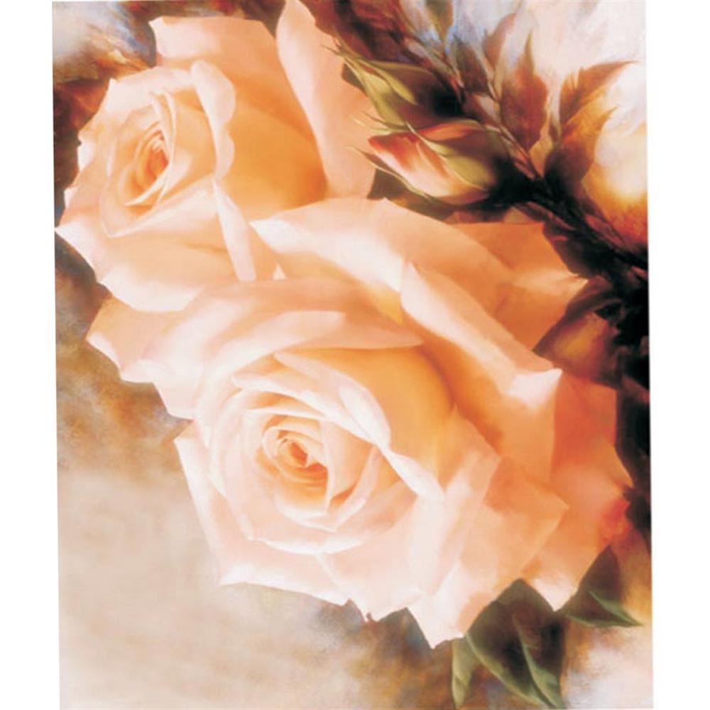 16X22 cm Rich Kolay Transfer - 5050 Koyu Renk