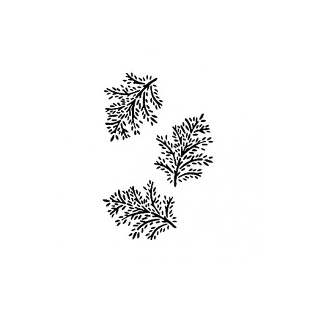 21cm X 30cm Stencil Şablon