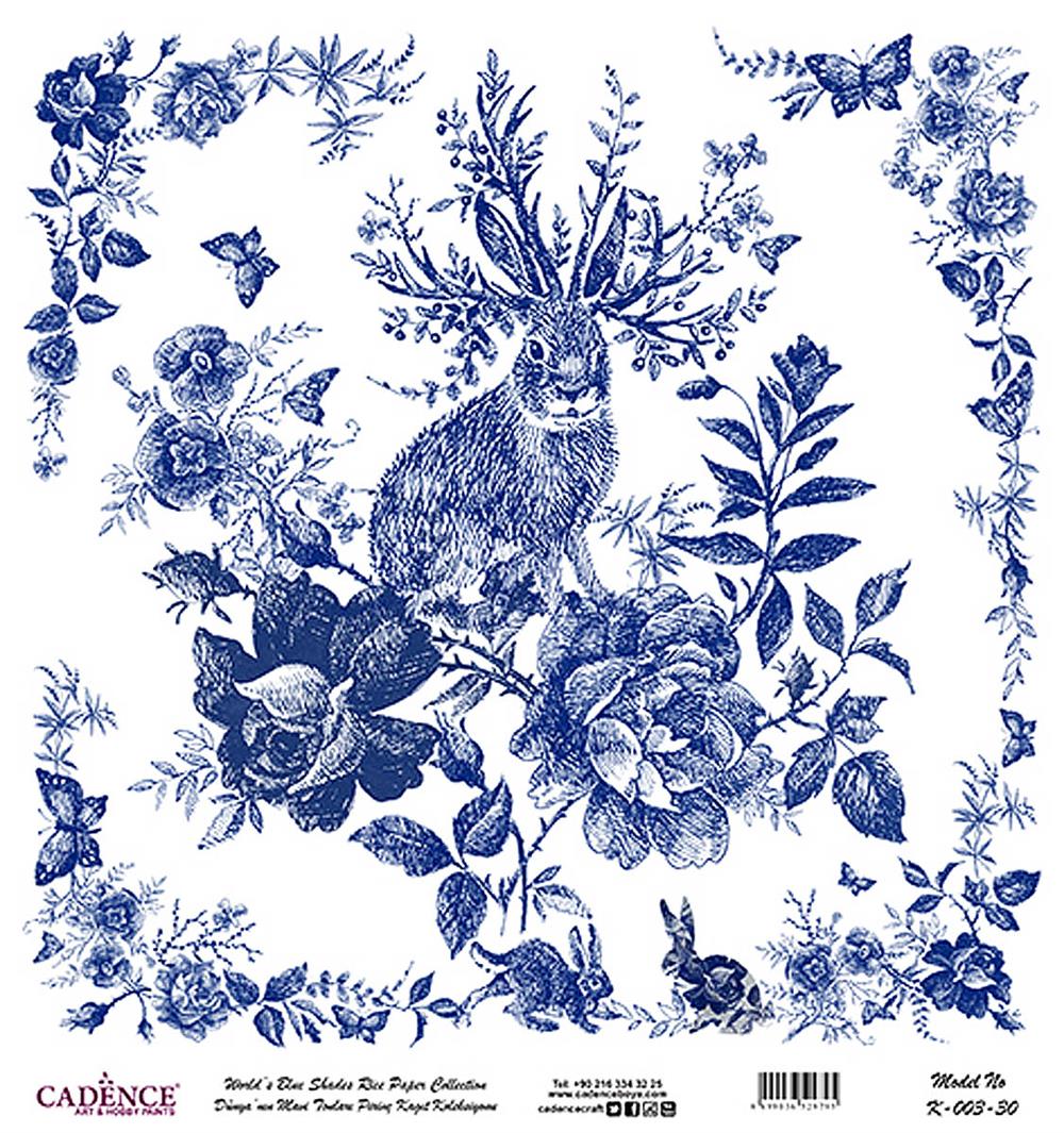 Dünya'nın Mavi Tonları Pirinç Kağıt 30x32 cm - K003