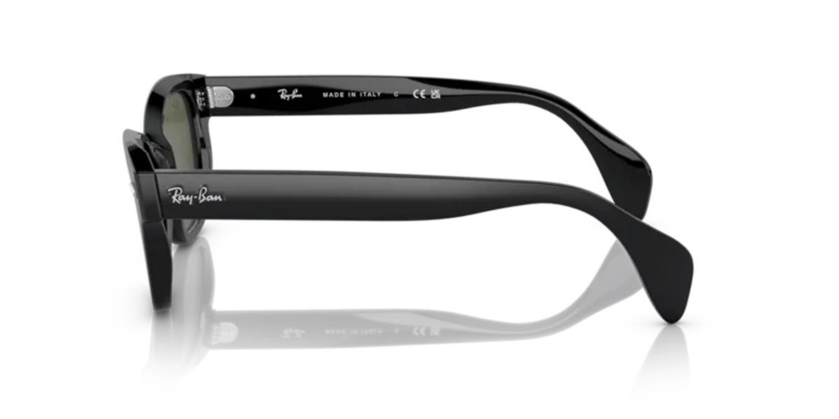 Ray-Ban 0880-S 901/31 Unisex Siyah Kemik Güneş Gözlüğü