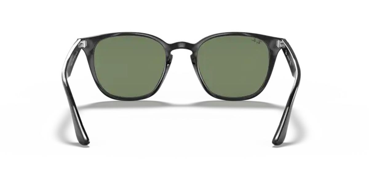 Ray-Ban 4258 601/71 Unisex Siyah Kemik Güneş Gözlüğü