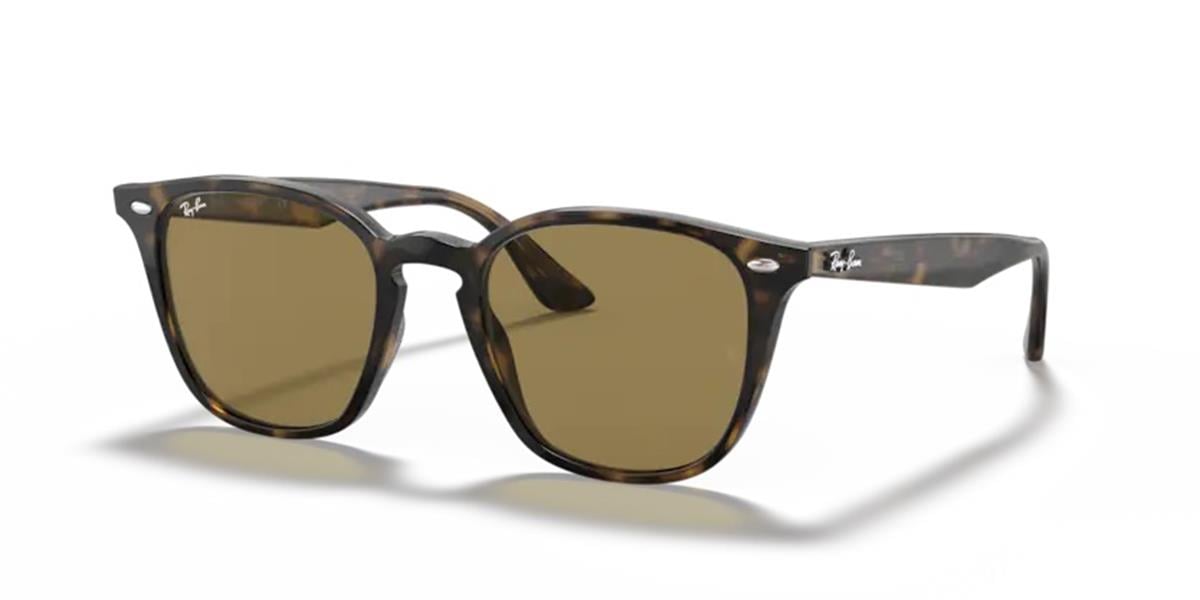 Ray-Ban 4258 710/73 Unisex Kahve Havana Kemik Güneş Gözlüğü
