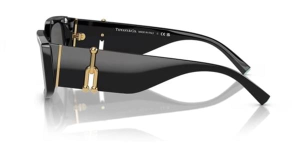 Tiffany & Co. TF4208-U 8001/S4 Siyah Kemik Kadın Güneş Gözlüğü