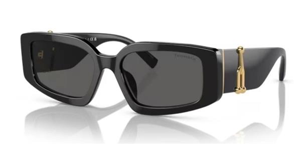 Tiffany & Co. TF4208-U 8001/S4 Siyah Kemik Kadın Güneş Gözlüğü
