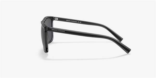 Armanı Exchange 4102S 831887 Erkek Kemik Güneş Gözlüğü