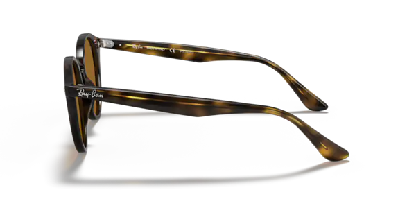 Ray-Ban 2180 710/73 Unisex Kemik Güneş Gözlüğü