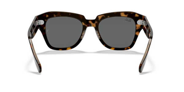 Ray-Ban 2186 1292/B1 Unisex Kemik Güneş Gözlüğü