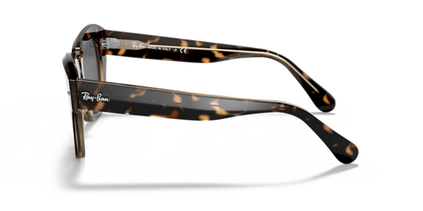 Ray-Ban 2186 1292/B1 Unisex Kemik Güneş Gözlüğü