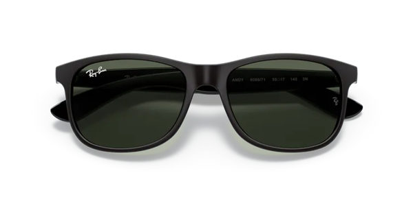 Ray-Ban 4202 6069/71 Erkek Siyah Kemik Güneş Gözlüğü