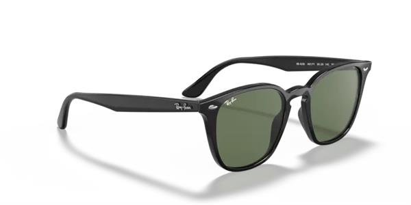 Ray-Ban 4258 601/71 Unisex Siyah Kemik Güneş Gözlüğü