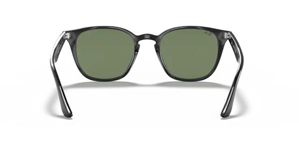 Ray-Ban 4258 601/71 Unisex Siyah Kemik Güneş Gözlüğü