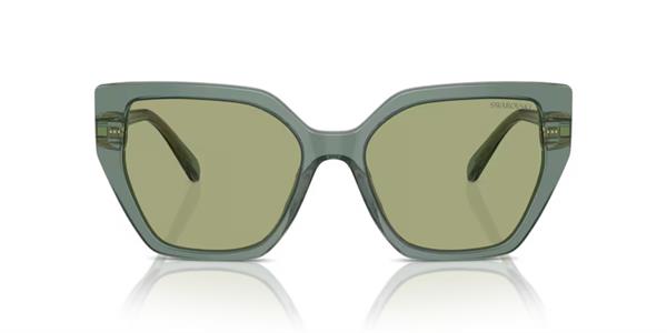 Swarovski SK6016 104382 Şeffaf Yeşil Kemik Kadın Güneş Gözlüğü