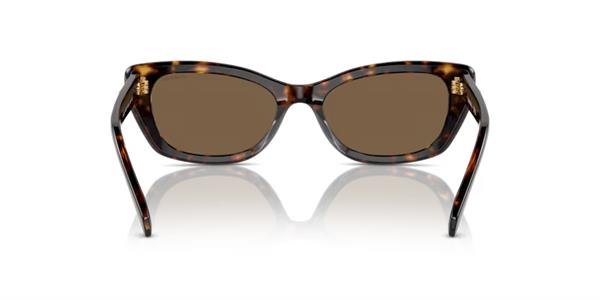 Swarovski SK6019 100273 Kahve Havana Cat Eye Kemik Güneş Gözlüğü