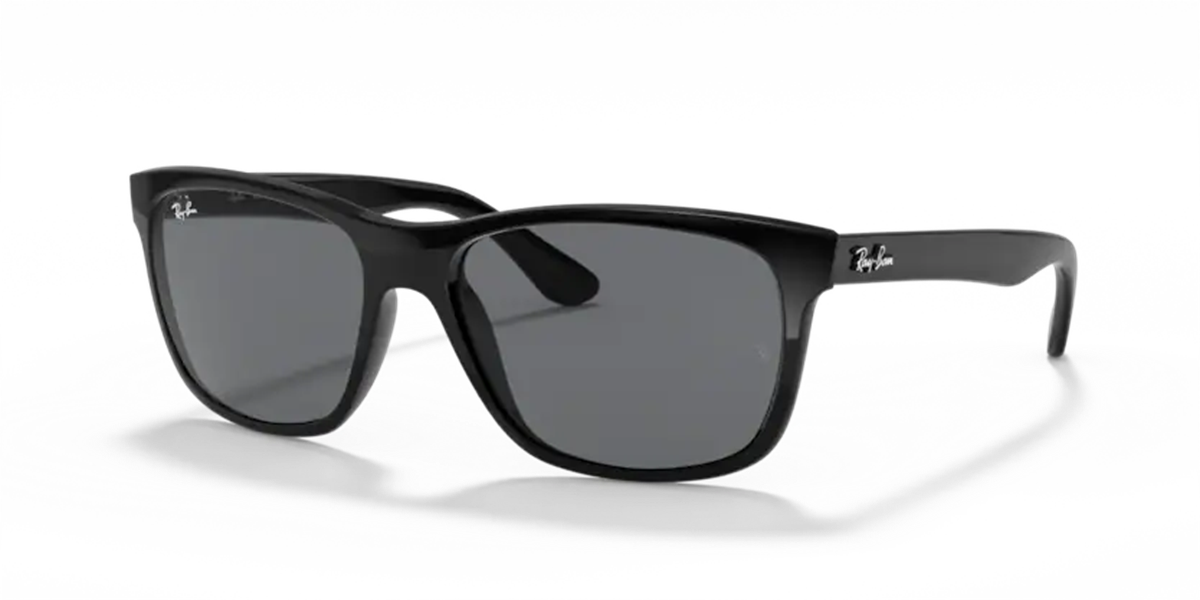 Ray-Ban 4181 601/87 Erkek Siyah Kemik Güneş Gözlüğü