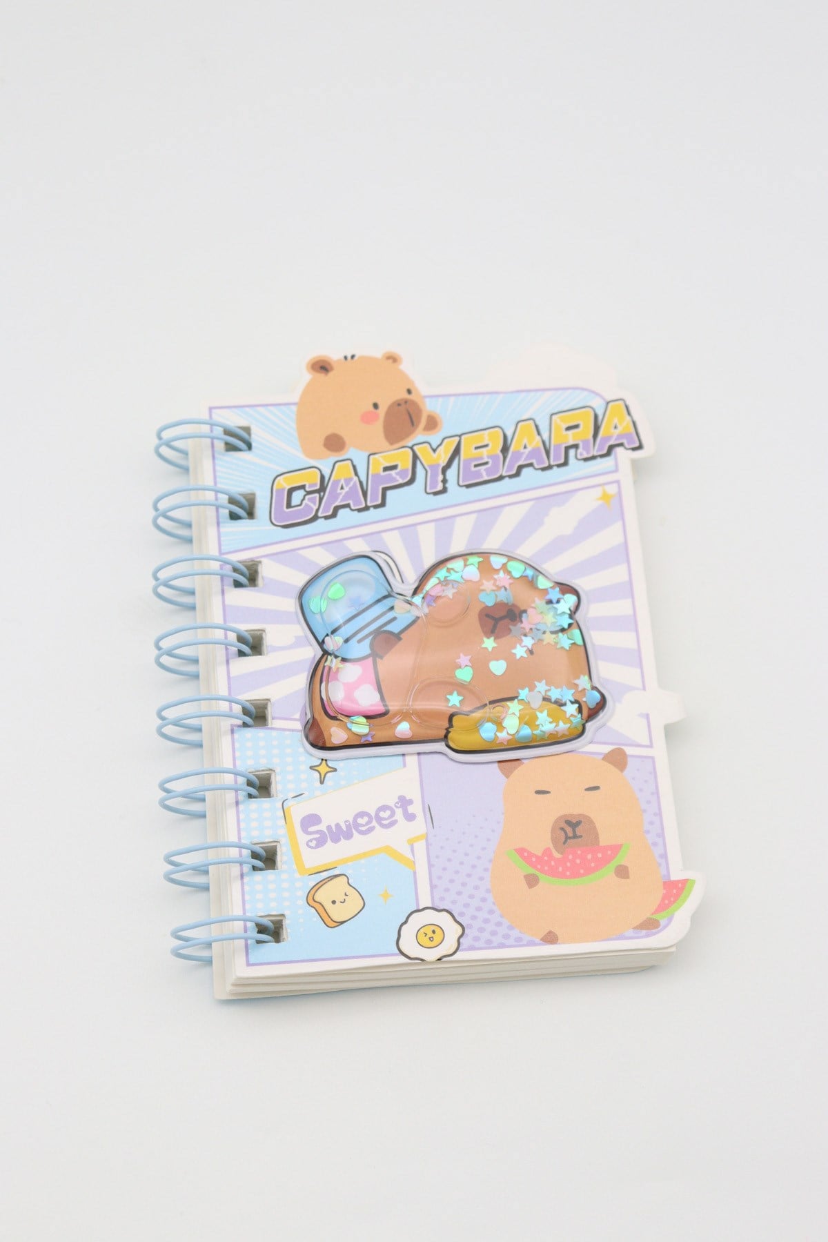 CAPY BARA KÜÇÜK NOT DEFTERİ